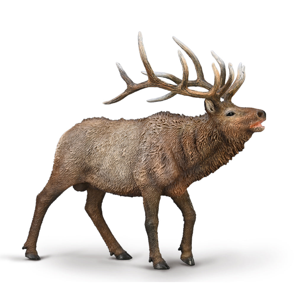 CollectA -  Winnie the Wapiti (Elk)