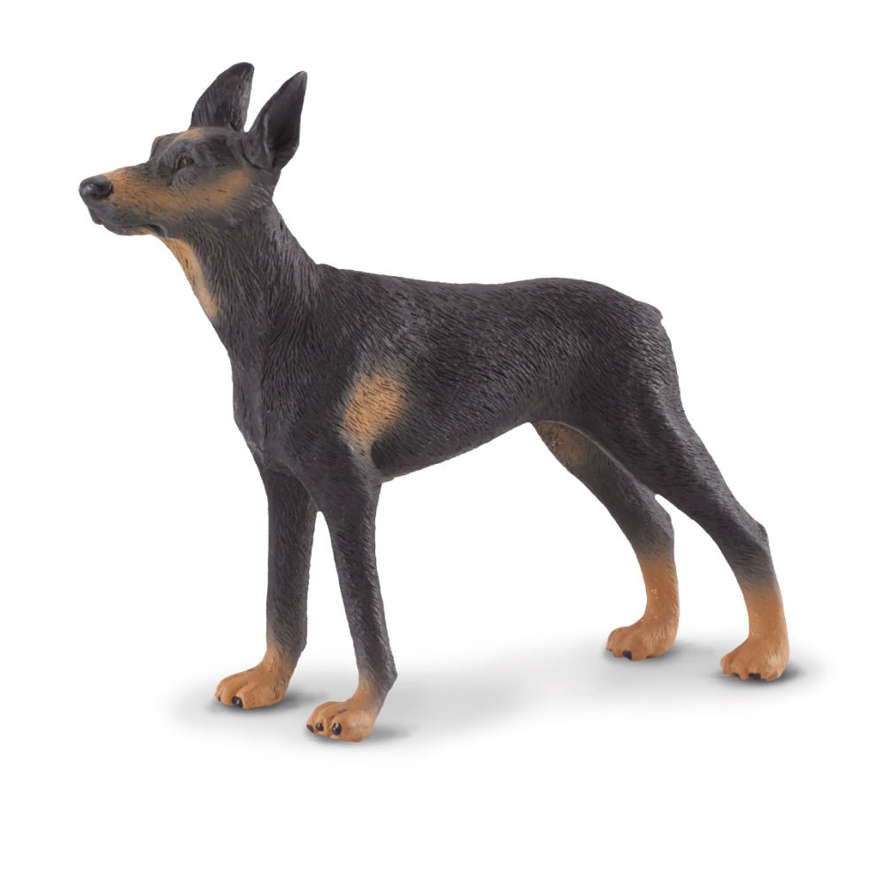 CollectA - Davi the Doberman Pinscher