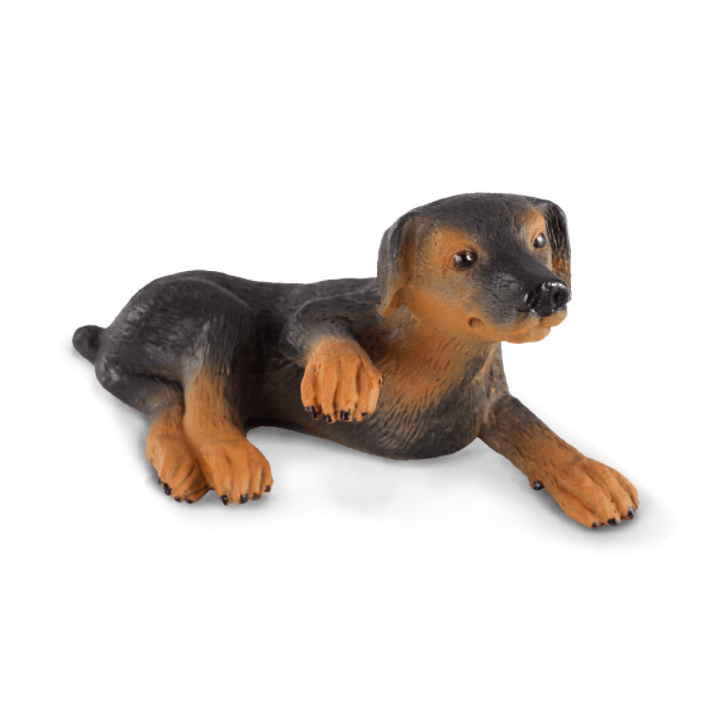 CollectA - Deon the Doberman Pinscher Puppy