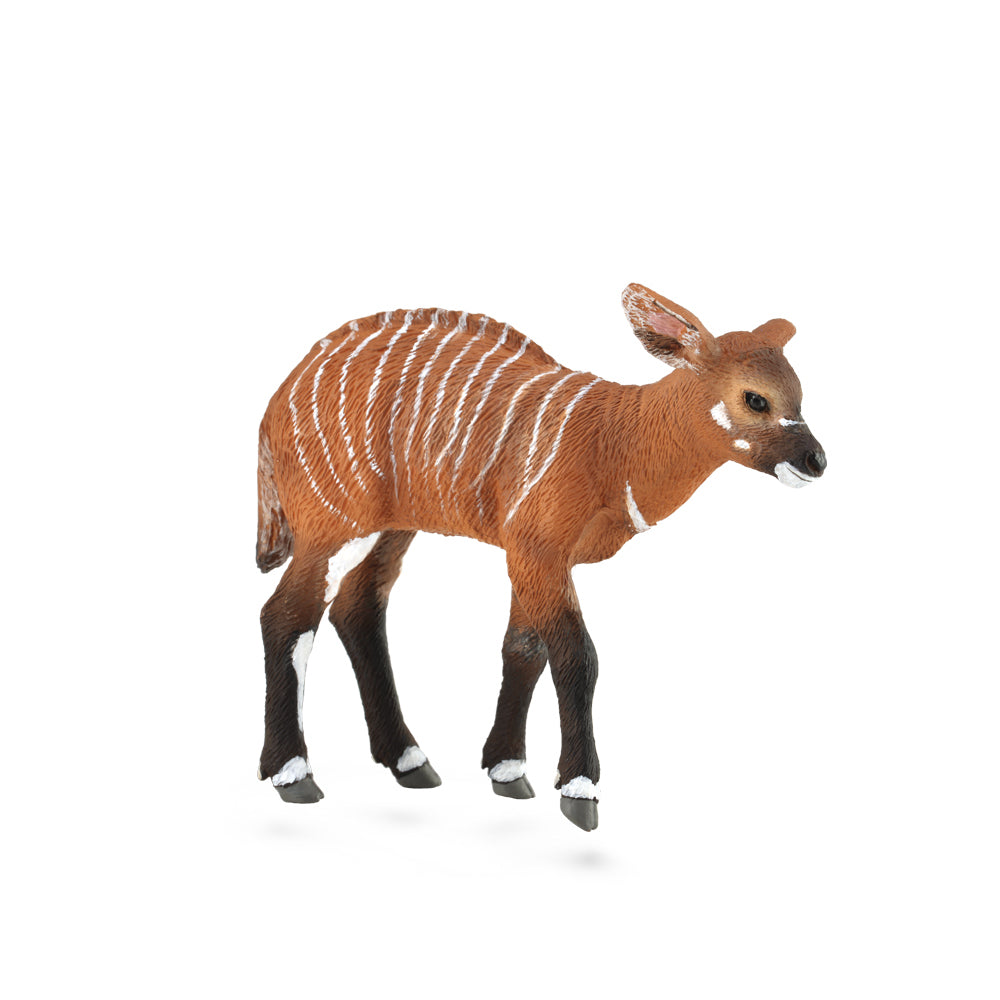 CollectA - Bart the Bongo Calf