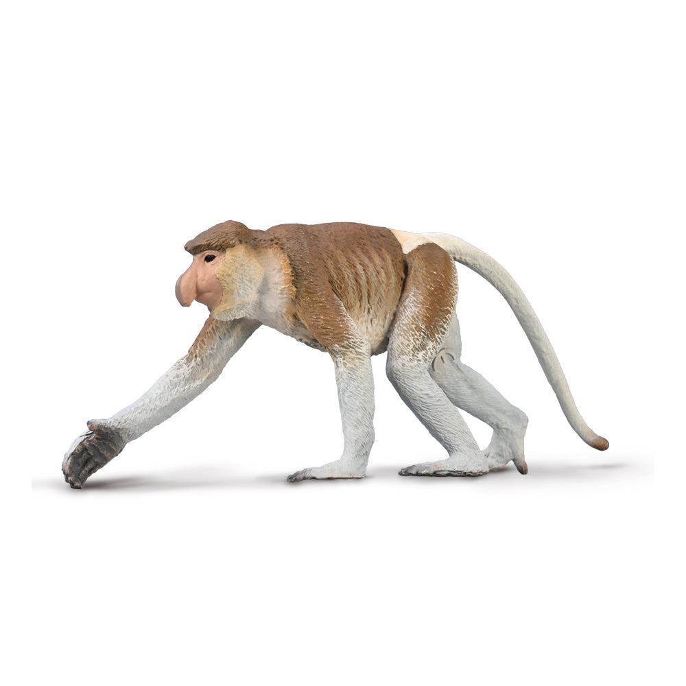 CollectA - Paxton the Proboscis Monkey