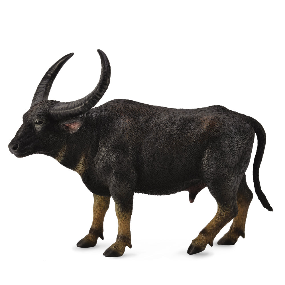 CollectA - Wilda the Wild Water Buffalo