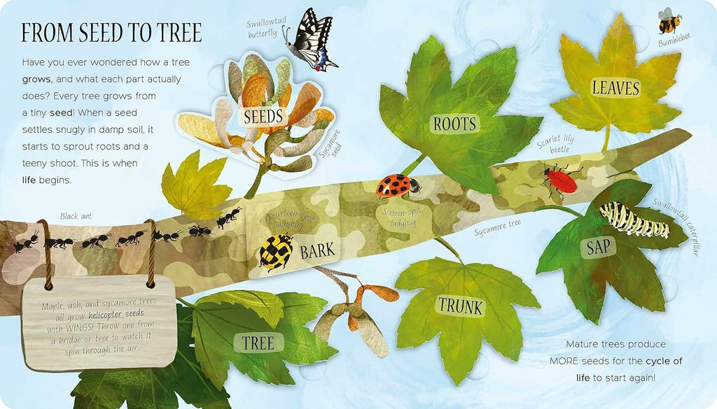 Book -  One Little Leaf (Board Book)