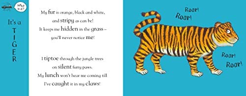 Book - Axel Scheffler's Flip Flap Jungle