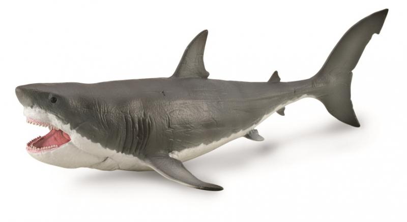 CollectA - Megalodon with Movable Jaw - (Deluxe) – The Creative Toy Shop