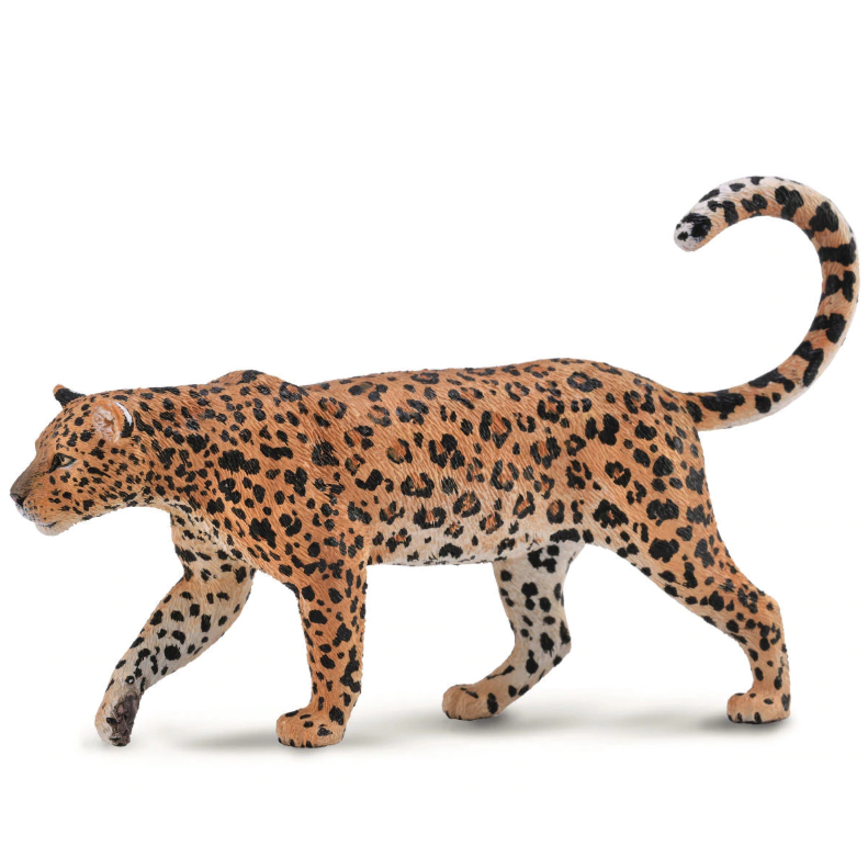 https://www.thecreativetoyshop.com.au/cdn/shop/products/collecta-atticus-the-african-leopard-collecta-the-creative-toy-shop.png?v=1579167995