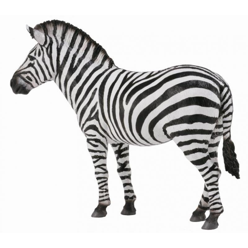 CollectA - Zoe the Zebra – The Creative Toy Shop